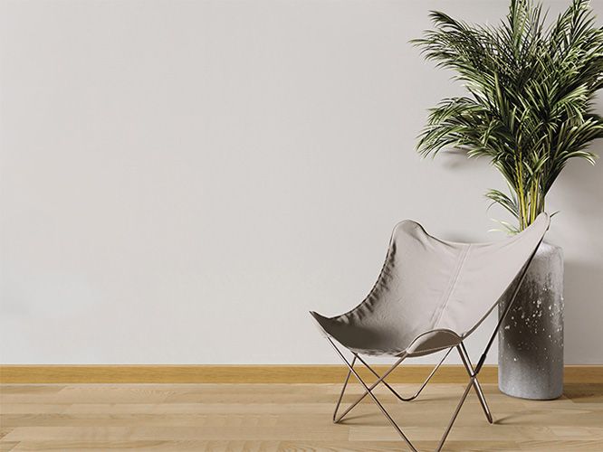 RP 446 Louro Freijó