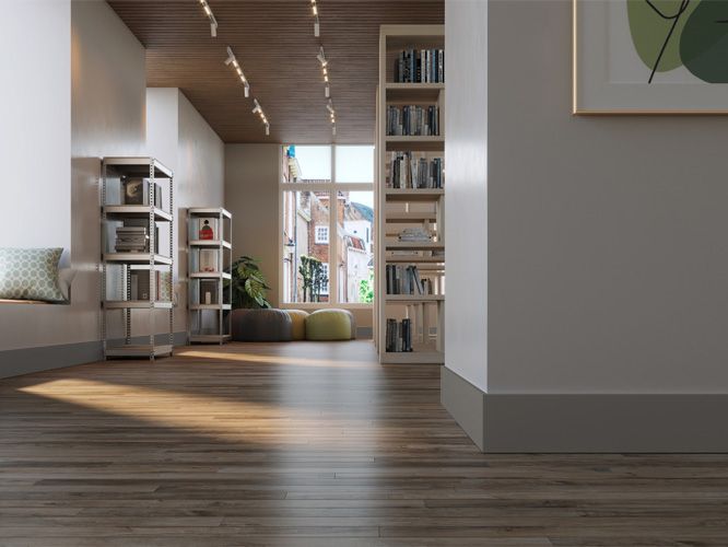 RP 496 Cinza Titanium