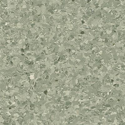 004  Asparagus  LRV37