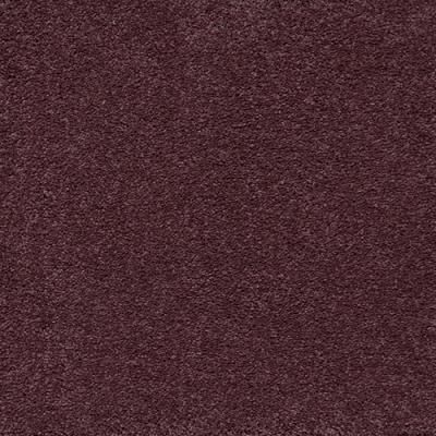 Sensualite 010  Intense