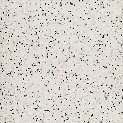 204  Frosty Glen  LRV65.3