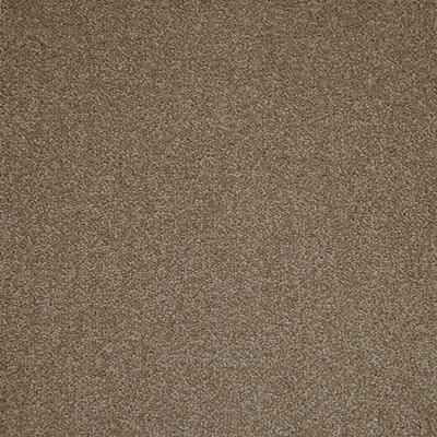 Westminster 401  Baker