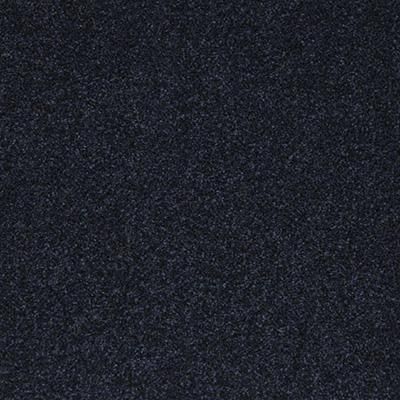 Westminster 407  Trafalgar