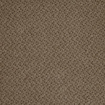 Baltimore 501 Desert