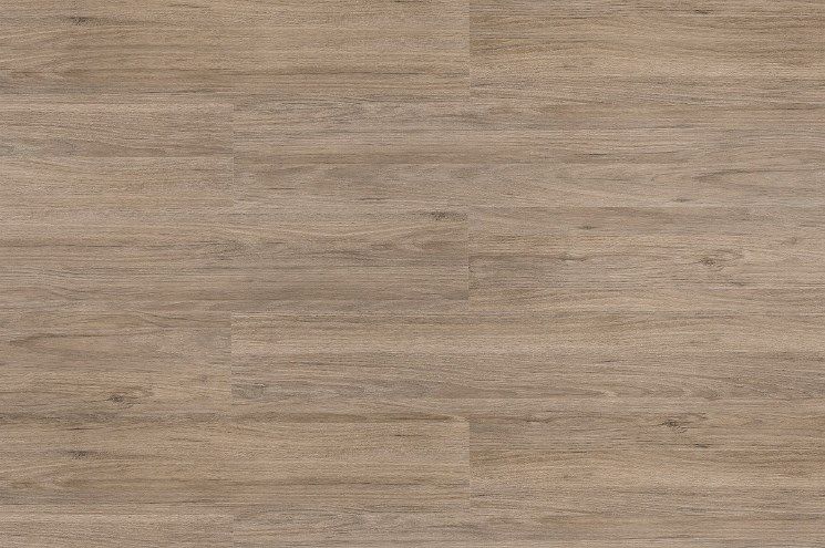 Carvalho Canela Click