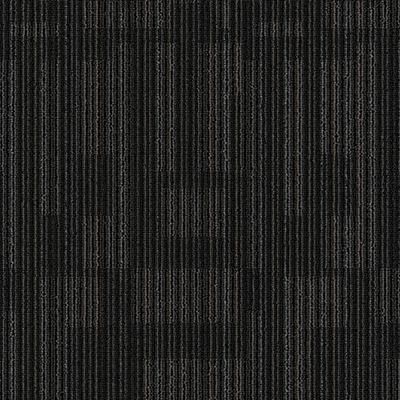 Fragment 003  Quantum