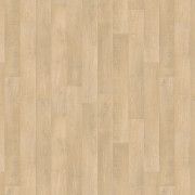 Holm Oak Blond  25098289