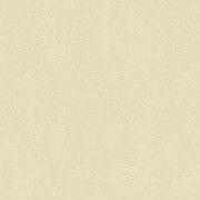 Light Grege  25145078