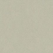 Warm Med Grey  25145049