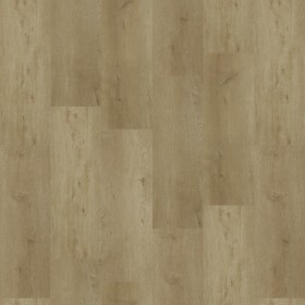 Bergamota  Series